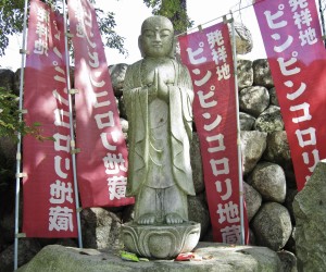 ピンピンコロリ